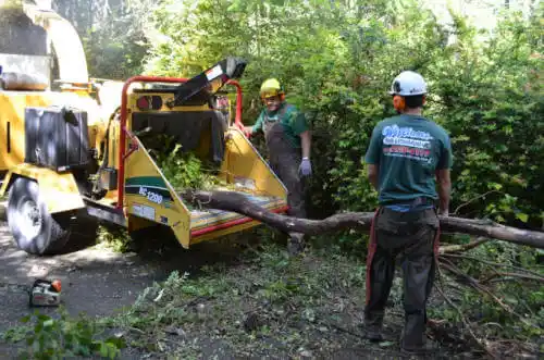 tree services South Hutchinson